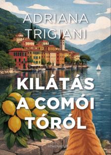 Adriana Trigiani - Kilátás a Comói tóról [eKönyv: epub, mobi]