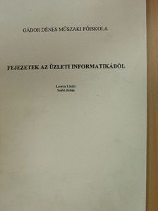 Lovrics László - Fejezetek az üzleti informatikából [antikvár]