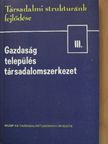 Beluszky Pál - Gazdaság, település, társadalomszerkezet III. [antikvár]