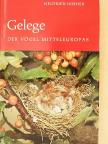 Siegfried Hoeher - Gelege [antikvár]