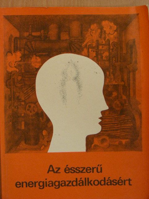 Bödecs Aladár - Az ésszerű energiagazdálkodásért [antikvár]