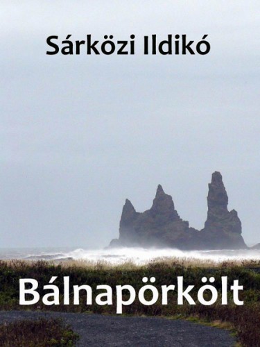 Ildikó Sárközi - Bálnapörkölt [eKönyv: epub, mobi]