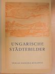 Johann Hankiss - Ungarische Städtebilder [antikvár]