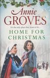 Annie Groves - Home for Christmas [antikvár]