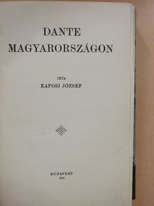 Kaposi József - Dante Magyarországon [antikvár]