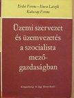 Enese László - Üzemi szervezet és üzemvezetés a szocialista mezőgazdaságban [antikvár]