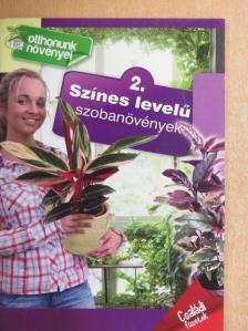 Dr. Váczi Imréné - Színes levelű szobanövények [antikvár]