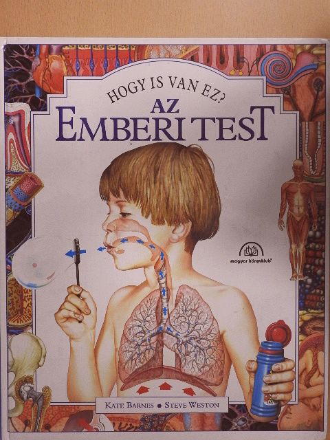 Kate Barnes - Az emberi test [antikvár]