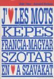 Oláh Tibor, Szendrő Borbála - Képes francia-magyar szótár [antikvár]