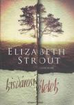 Elizabeth Strout - Kisvárosi életek [antikvár]