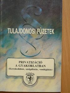 Dobos Ferenc István - Privatizáció a gyakorlatban [antikvár]