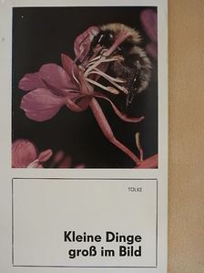 Dr. Arnim Tölke - Kleine Dinge groß im Bild [antikvár]