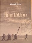 Kovács Tamás - Júniusi hétköznap [antikvár]