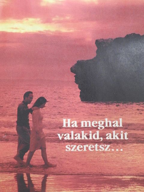 Ha meghal valakid, akit szeretsz... [antikvár]