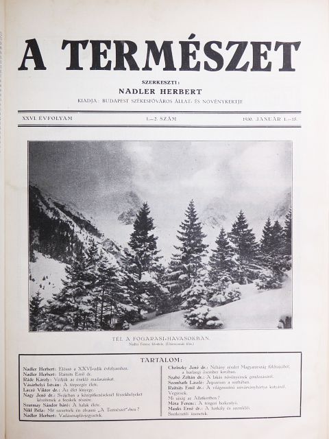 Rapaics Raymund - A Természet 1930-1931. január-december [antikvár]