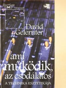 David Gelernter - Ami működik, az csodálatos [antikvár]