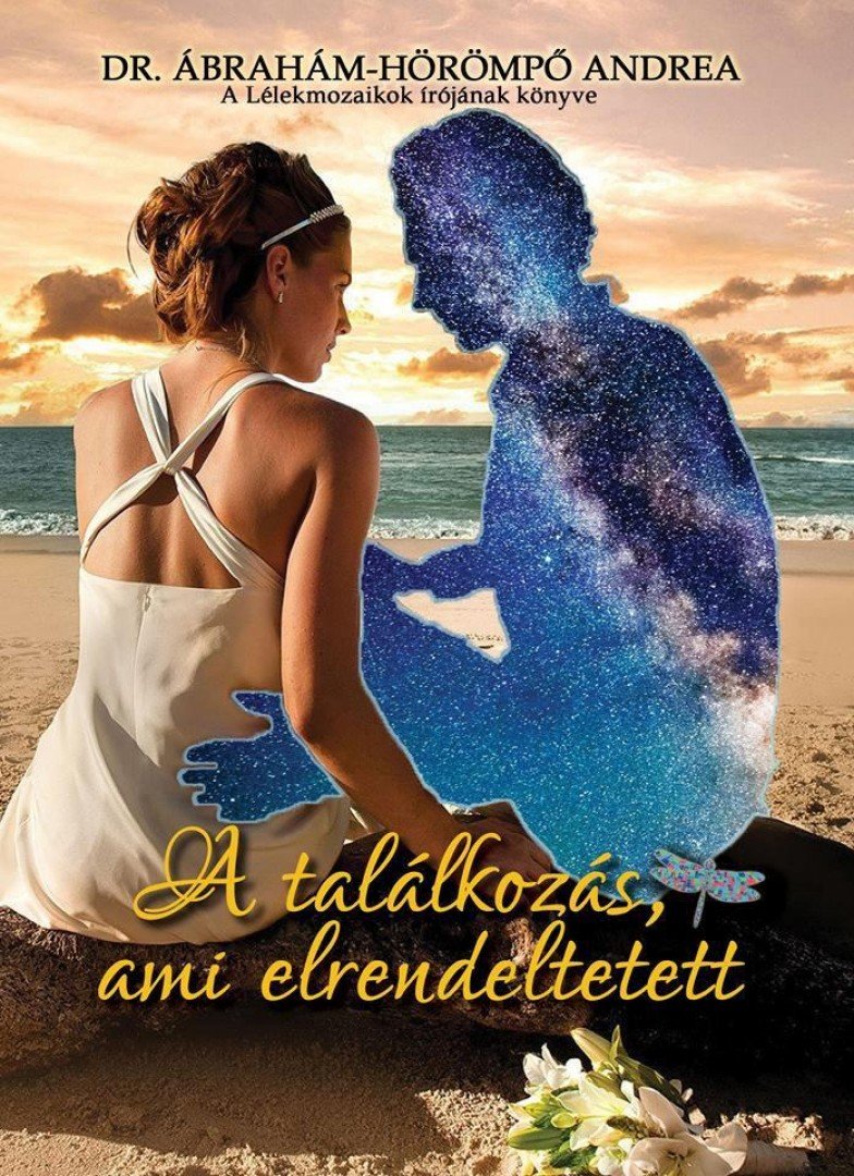 Dr. Ábrahám-Hörömpő Andrea - A találkozás, ami elrendeltetett [antikvár]