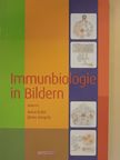 Erdei Anna - Immunbiologie in Bildern [antikvár]