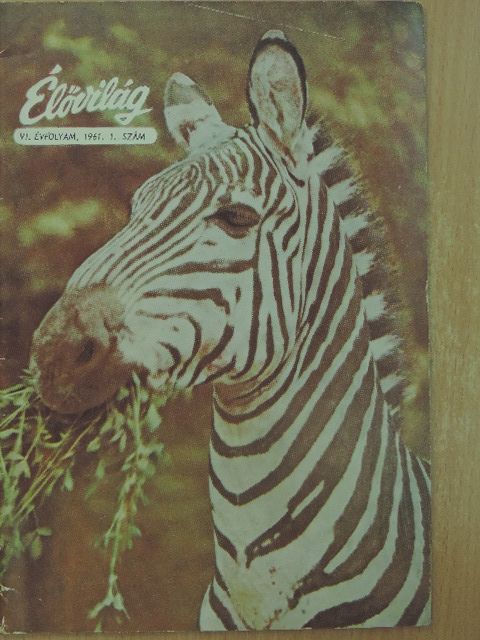 Dr. Allodiatoris Irma - Élővilág 1961/1. [antikvár]