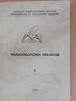 Makroökonómia példatár 3. [antikvár]