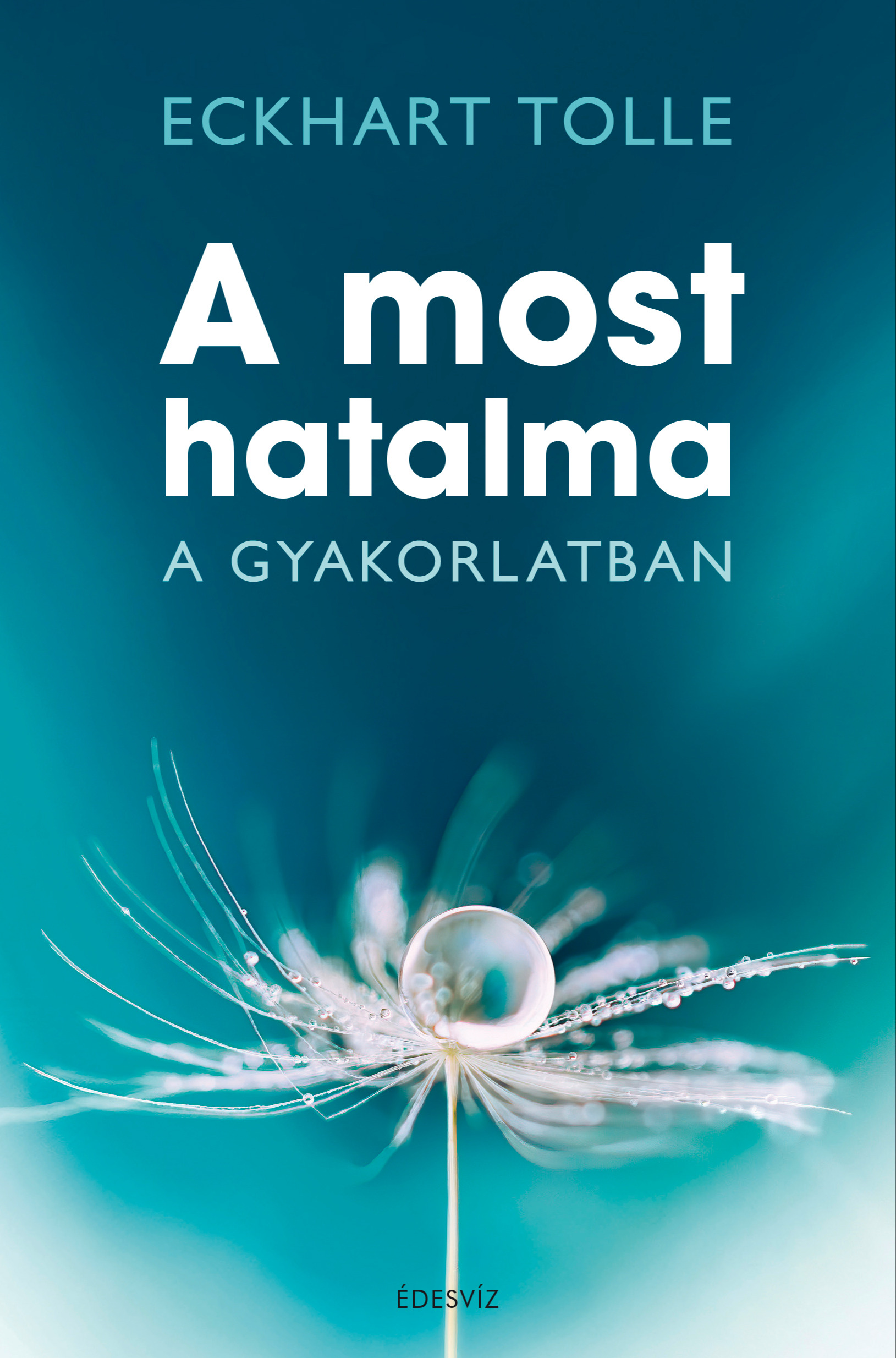 Eckhart Tolle - A most hatalma a gyakorlatban [eKönyv: epub, mobi]