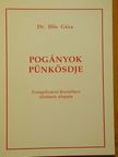 Dr. Hős Géza - Pogányok pünkösdje [antikvár]