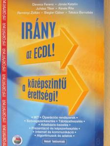 Devecz Ferenc - Irány az ECDL!/a középszintű érettségi! [antikvár]