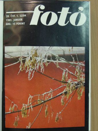 Botta Dénes - Fotó 1981-1982. (nem teljes évfolyamok) [antikvár]