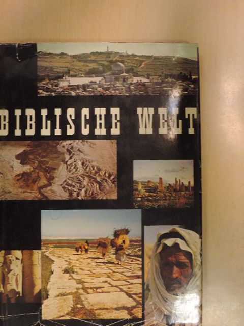 Hans Wildberger - Biblische Welt [antikvár]