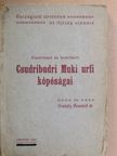 Dr. Vrabély Ármánd - Csudriházi és budrifalvi Csudribudri Muki urfi kópéságai [antikvár]