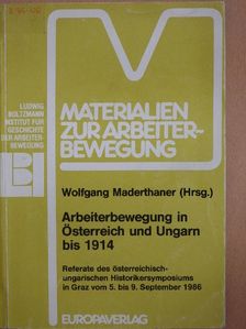Erényi Tibor - Arbeiterbewegung in Österreich und Ungarn bis 1914 [antikvár]