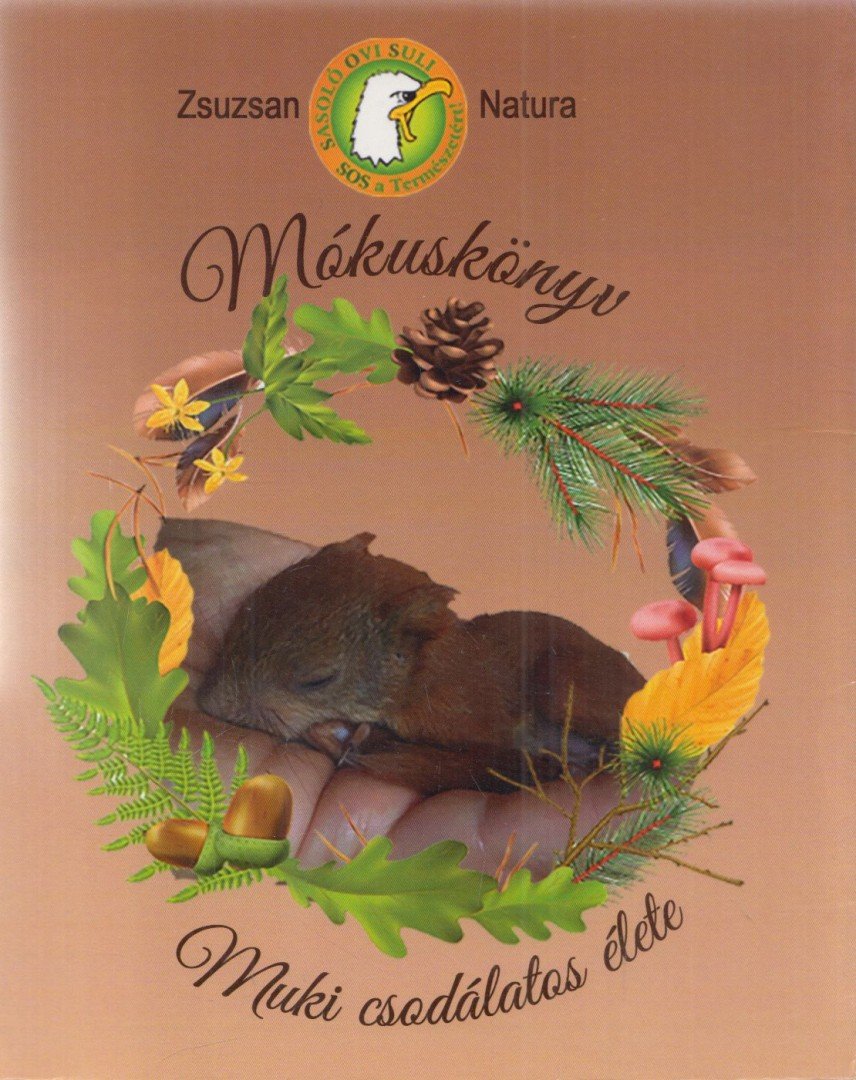 Kocsis Zsuzsanna - Mókuskönyv [antikvár]