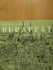 Biczó Tamás - Budapest [antikvár]