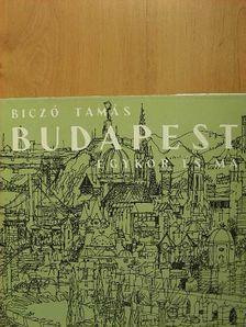 Biczó Tamás - Budapest [antikvár]
