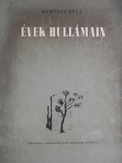 Reményi Béla - Évek hullámain [antikvár]