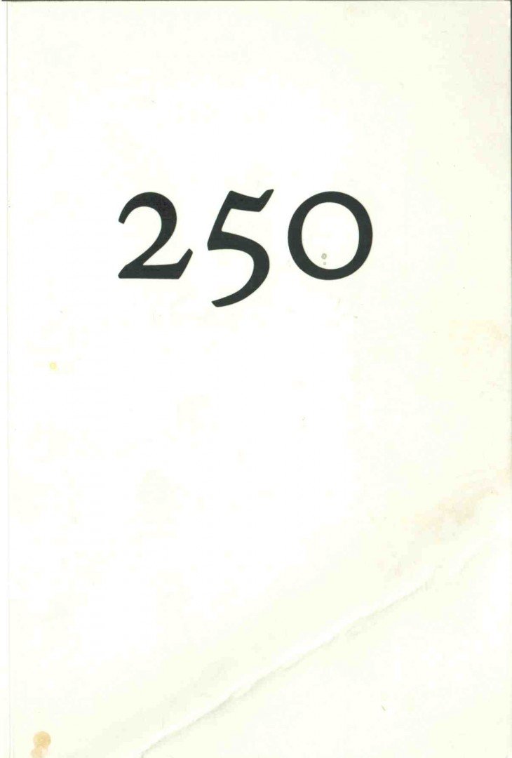 Török András - 250 [antikvár]