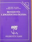 Ábrók Ildikó - Bevezetés a jogszociológiába [antikvár]