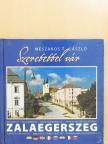 Dr. Vándor László - Szeretettel vár Zalaegerszeg [antikvár]