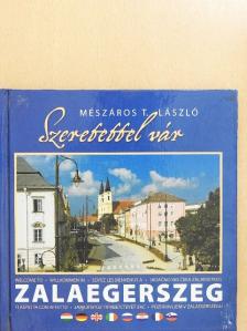 Dr. Vándor László - Szeretettel vár Zalaegerszeg [antikvár]