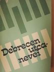 Dr. Bornyi József - Debrecen utcanevei [antikvár]