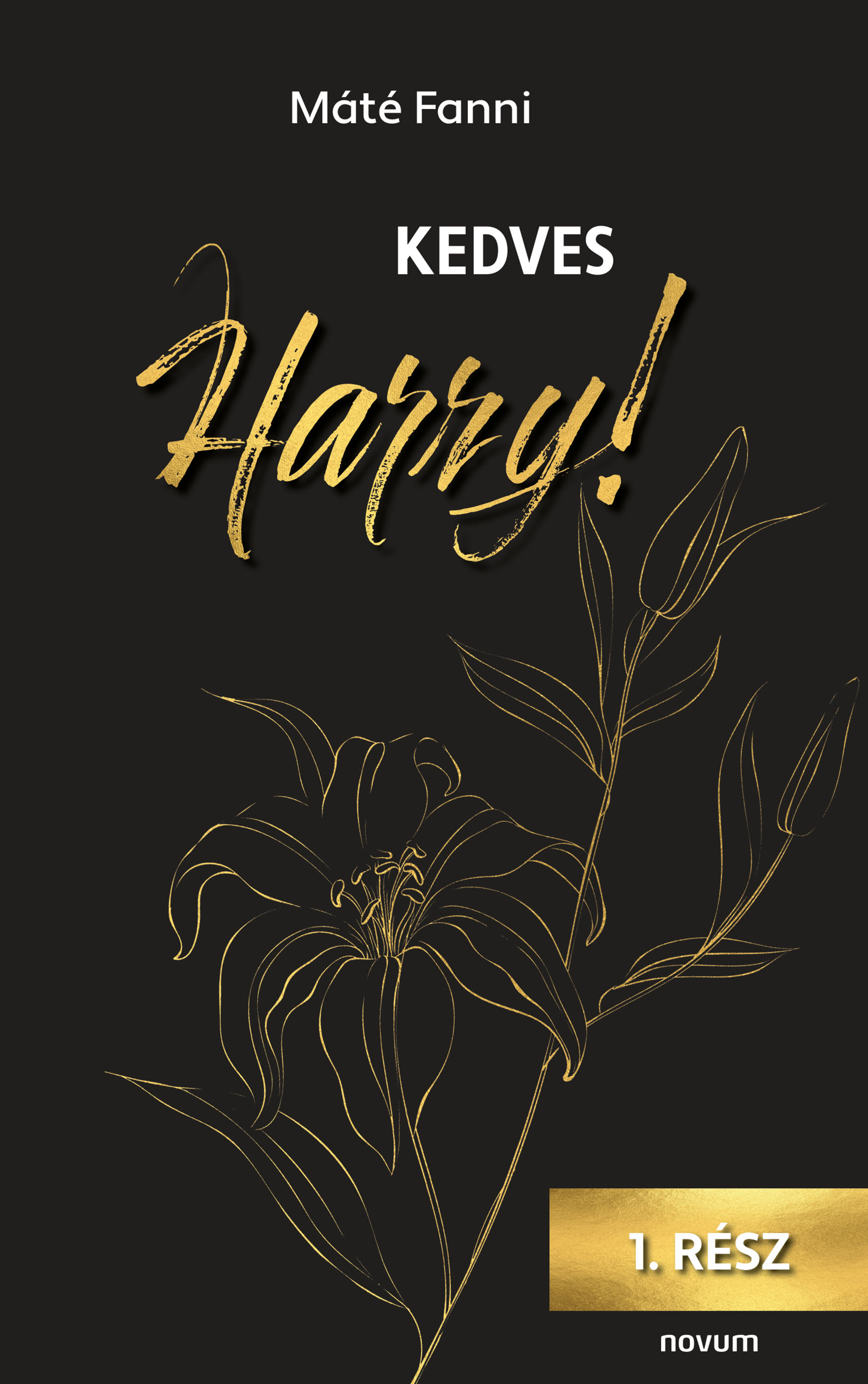 Máté Fanni - Kedves Harry! [eKönyv: epub, mobi]