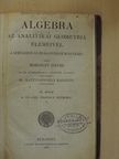 Borosay Dávid - Algebra az analitikai geometria elemeivel II. [antikvár]