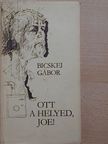Bicskei Gábor - Ott a helyed, Joe! [antikvár]