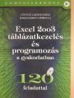 Baksa-Haskó Gabriella - Excel 2003 táblázatkezelés és programozás a gyakorlatban  [antikvár]