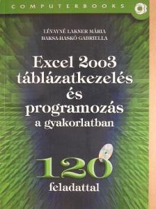 Baksa-Haskó Gabriella - Excel 2003 táblázatkezelés és programozás a gyakorlatban  [antikvár]
