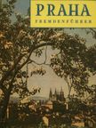 Ivan Pfaff - Praha fremdenführer [antikvár]