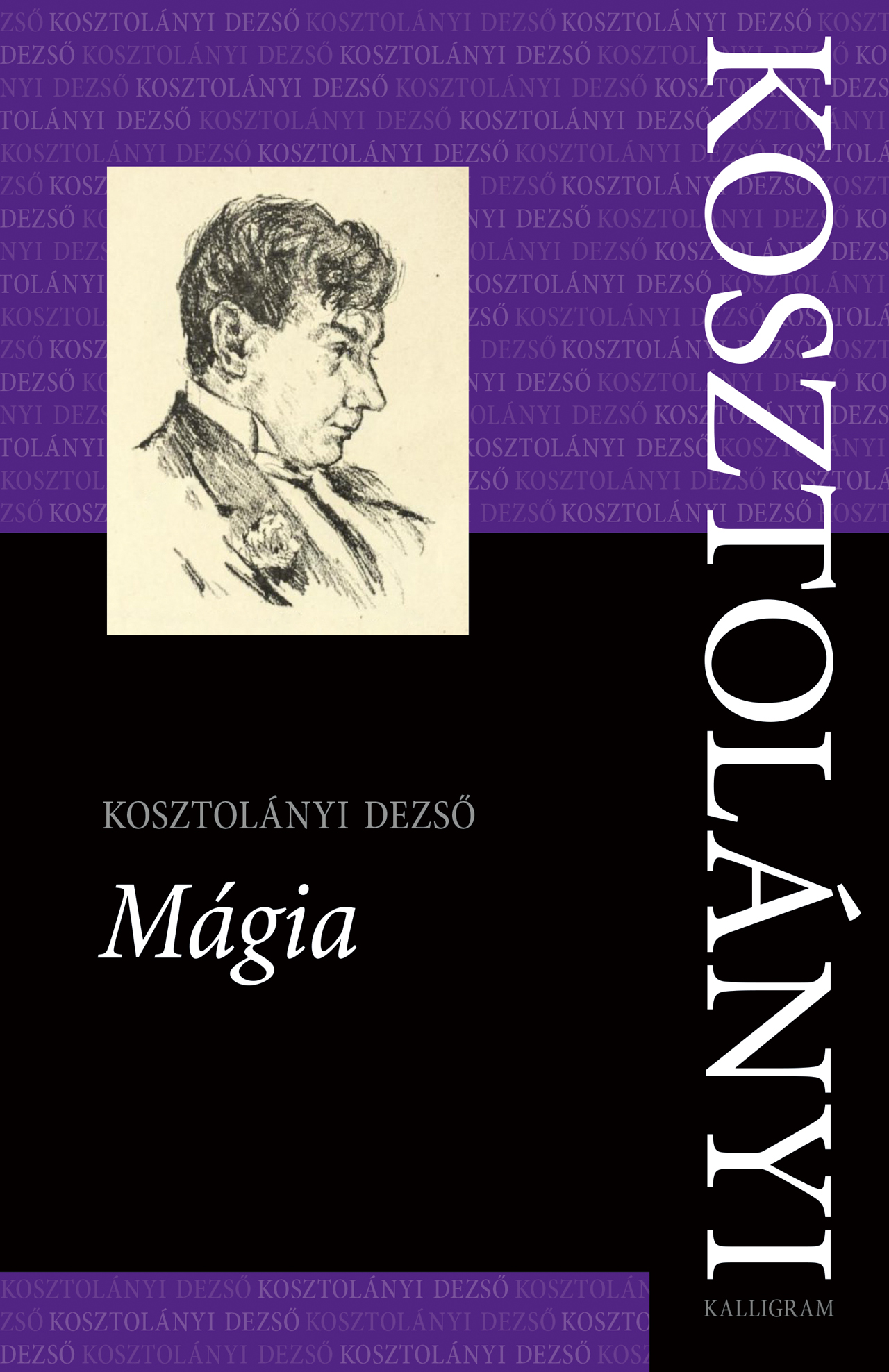 Kosztolányi Dezső-Parádi Andrea[szerk.]-Győrei Zsolt[szerk.] - Mágia
