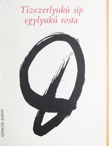 Pető Tóth Károly - Tízezerlyukú síp egylyukú rosta [antikvár]