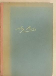 Rodin - Beszélgetések a művészetről [antikvár]