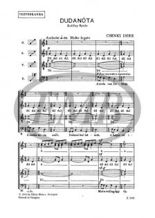 CSENKI IMRE - DUDANÓTA - VEGYESKARRA (KULIFAY GYULA)